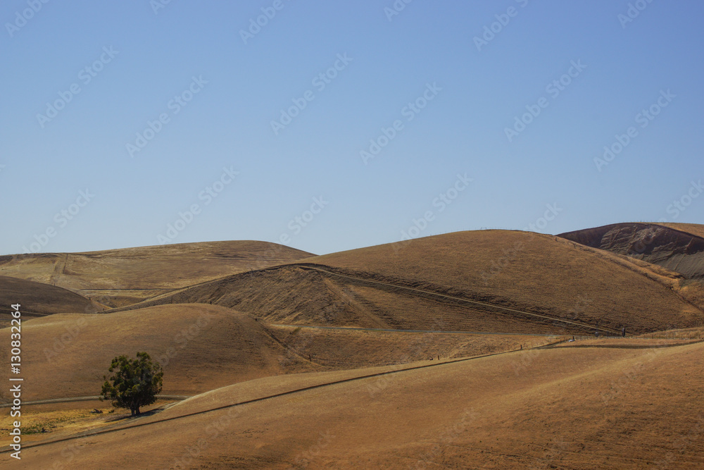 Buckellandschaft Buckellandschaft
