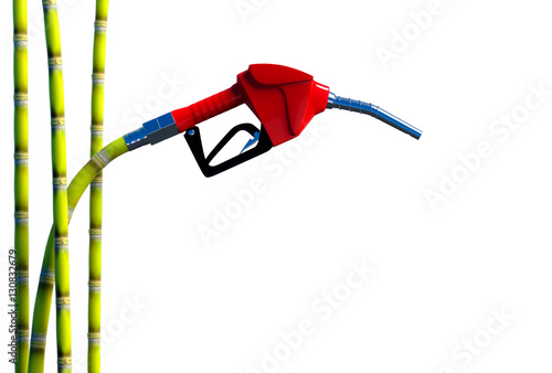 Fuel nozzle cane.