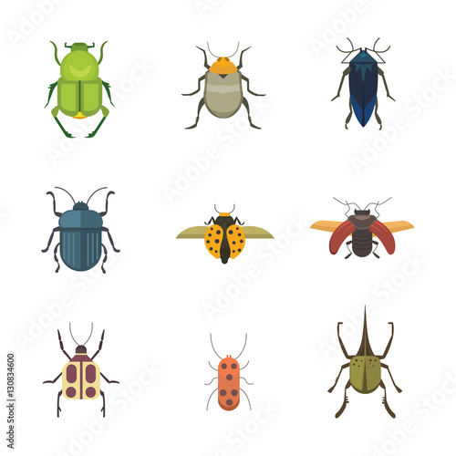 Set of insects flat style vector design icons. Collection  nature beetle and zoology cartoon illustration © denis08131