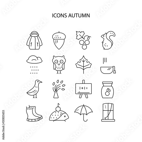 Big collection of linear icons with different autumn and fall symbols. Vector line icon series. Squirrel  umbrella  rain  mushroom   and other seasonal elements.