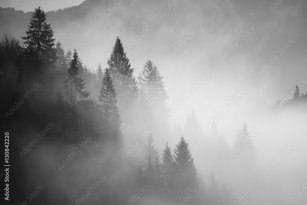 Black and white landscape Black and white landscape