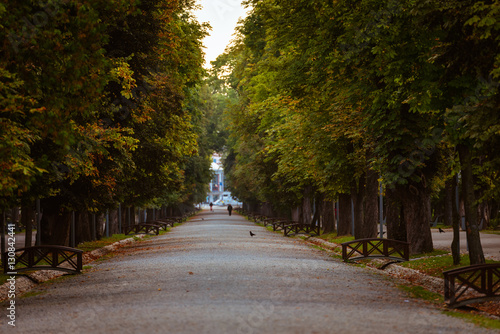 Fototapeta Naklejka Na Ścianę i Meble -  Autumn in the park