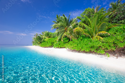 Tropical island with sandy beach, lagoon and palm trees