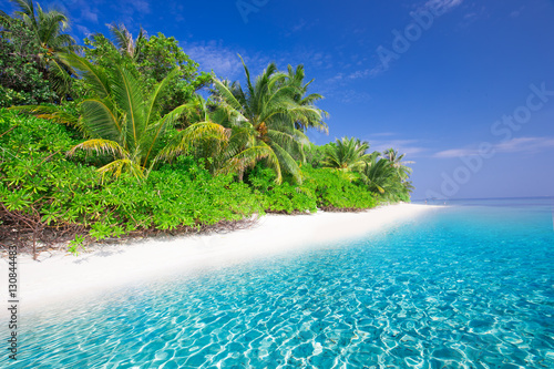 Tropical island with sandy beach  lagoon and palm trees