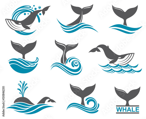 collection with abstract symbols of whale and sea wave