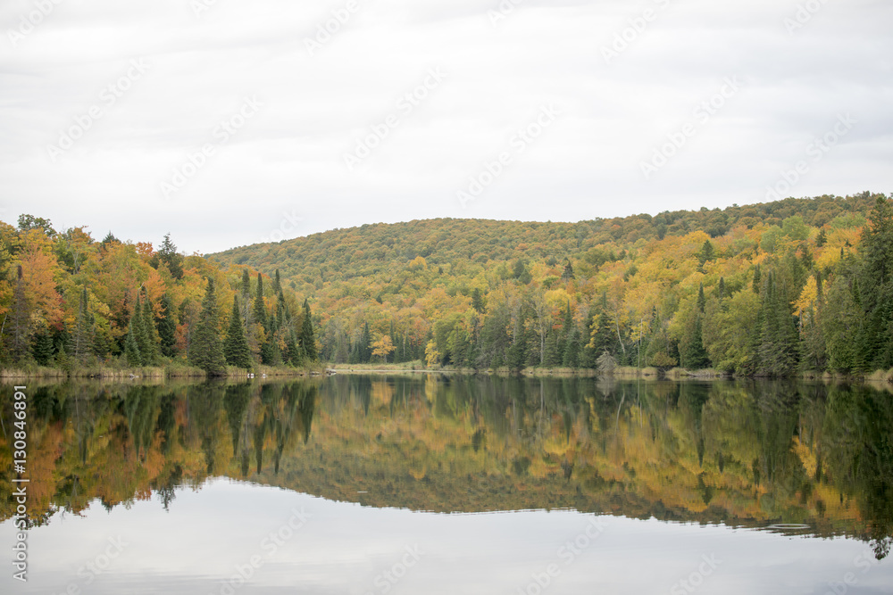 Fall Pond