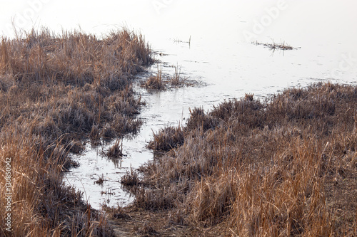 Wallpaper Mural lake in nature in autumn Torontodigital.ca