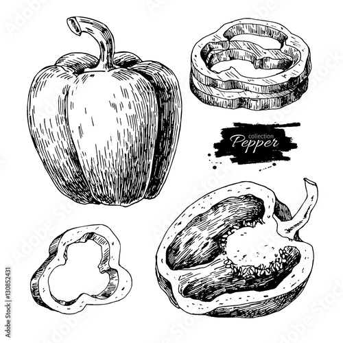 Pepper hand drawn vector set. Vegetable engraved style object, f