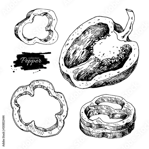 Pepper hand drawn vector set. Vegetable engraved style object, h