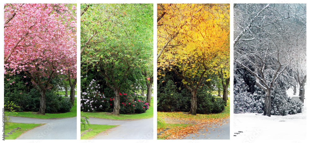 Four seasons on the same street. - obrazy, fototapety, plakaty 