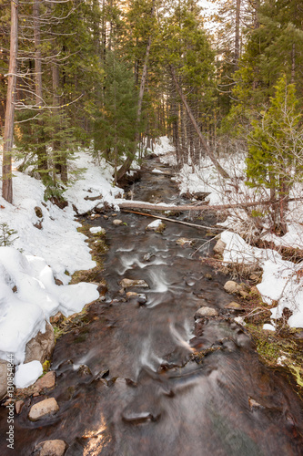 Snowy Stream in Winter 1