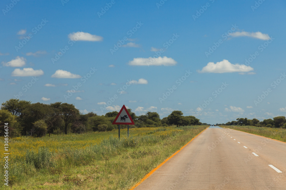 South African road through the savannas and deserts with marking South African road through the savannas and deserts with marking