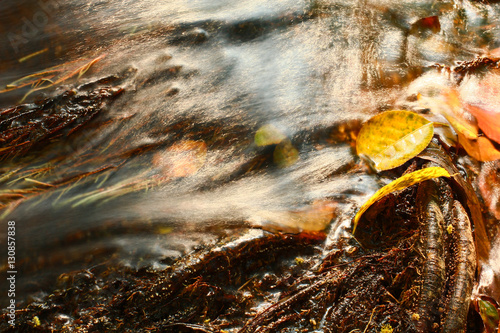 fall colored leaf resting on a moss covered rock with water flowing around it © khlongwangchao