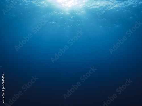 Underwater background in sea © Richard Carey
