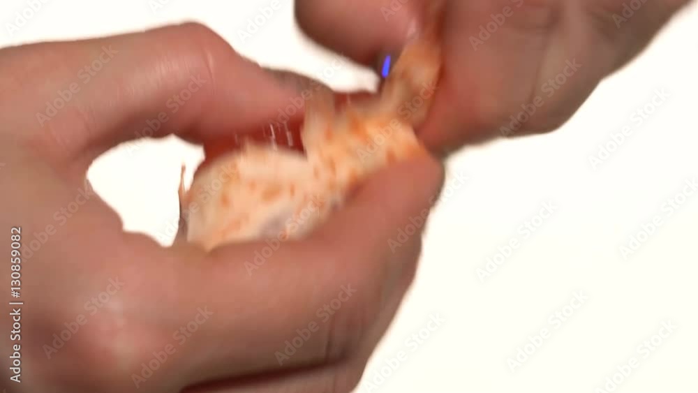 She cleans the skin of the grapefruit. White background. Close-up She cleans the skin of the grapefruit. White background. Close-up
