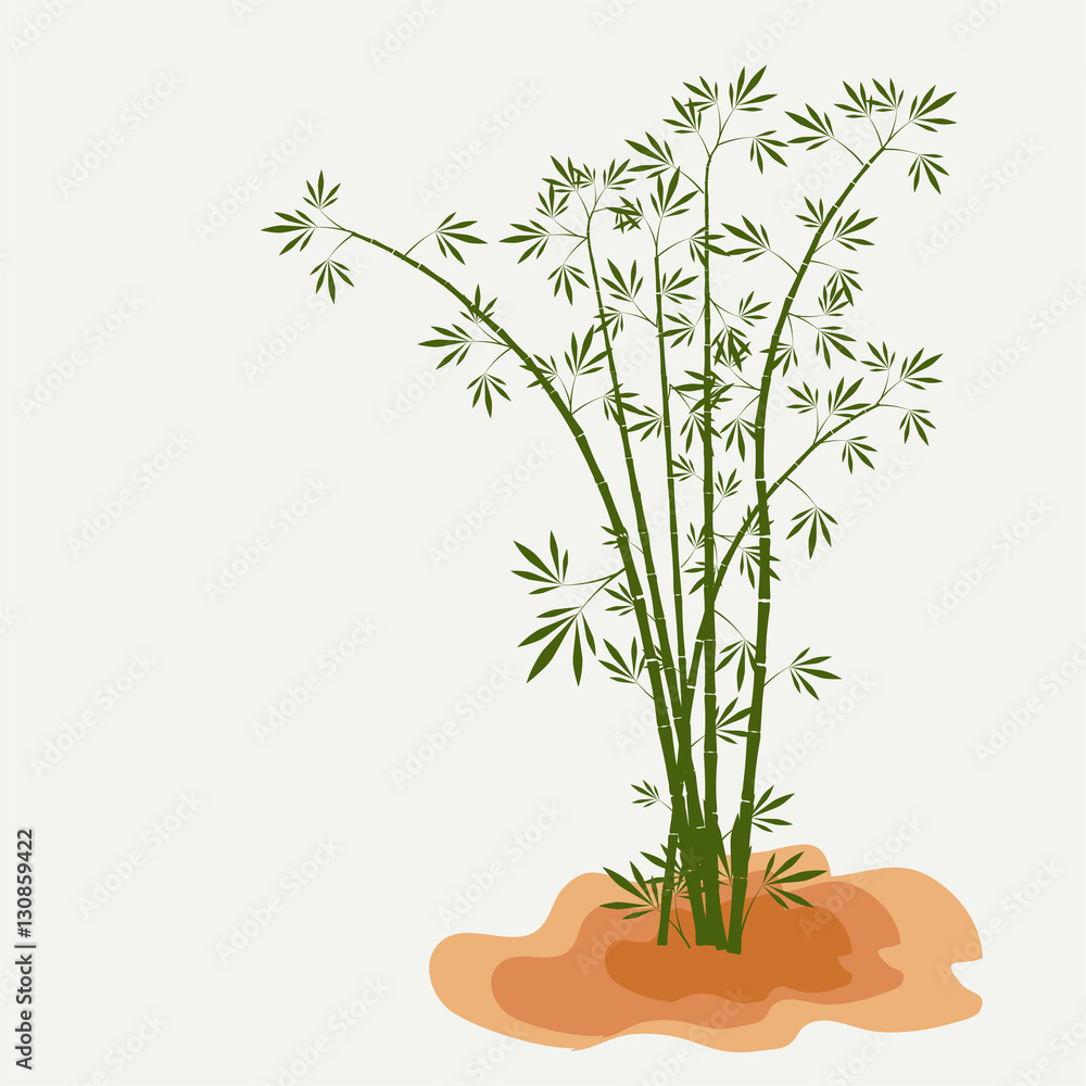Fototapeta premium bamboo stems with leaves on white background