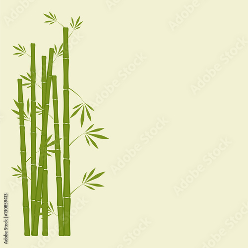 bamboo stems with leaves on white background