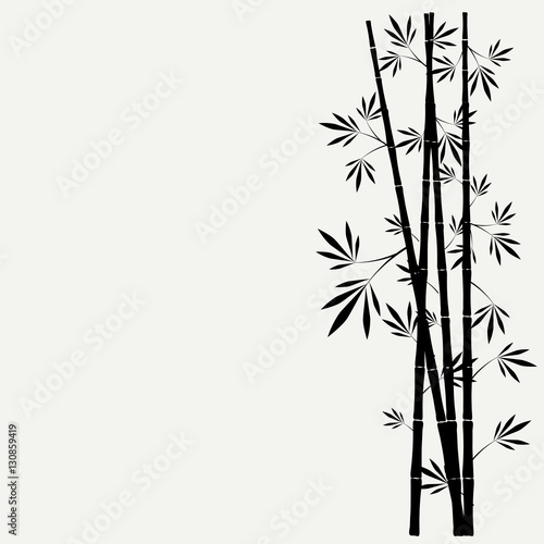 bamboo stems with leaves on white background © thanhtrong007
