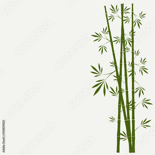Fototapeta Naklejka Na Ścianę i Meble -  bamboo stems with leaves on white background