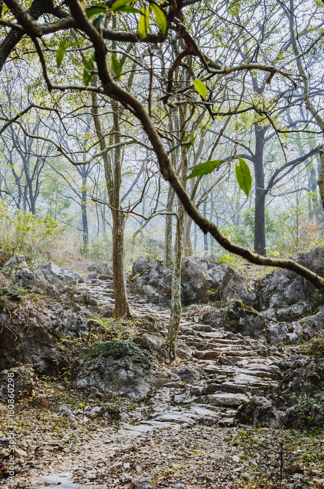 The stone path scenery in mountains The stone path scenery in mountains