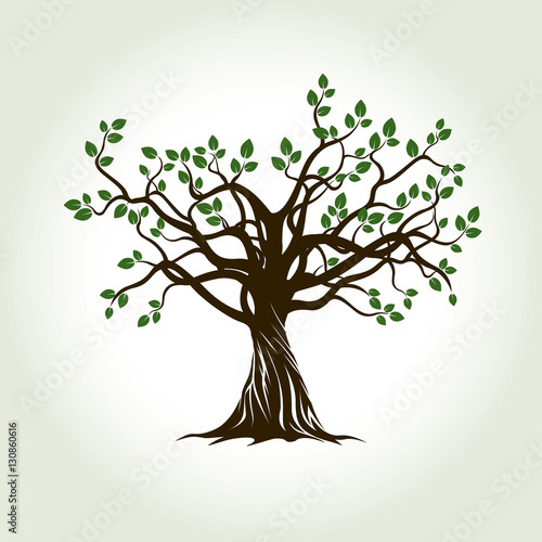 Color Tree and Roots. Vector Illustration.