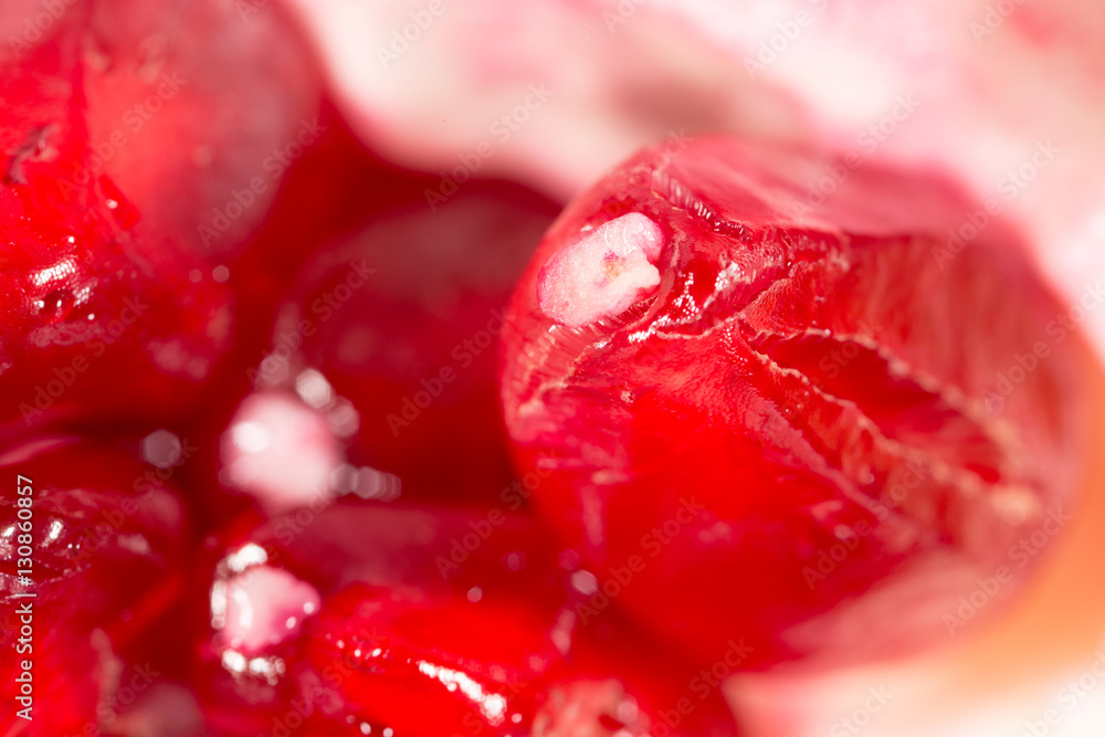 Pomegranate as a background. super macro Pomegranate as a background. super macro