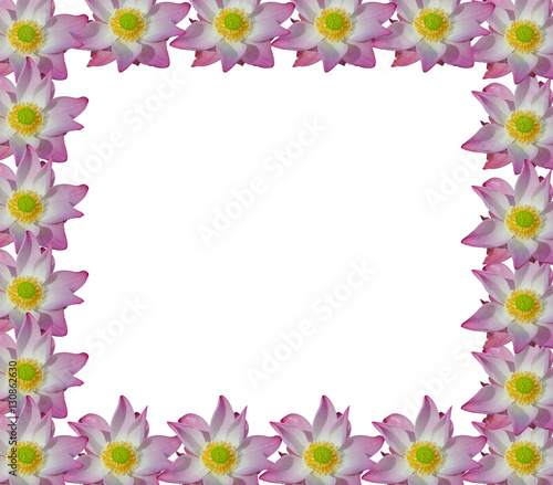 Wallpaper Mural pink lotus isolated on white background Torontodigital.ca