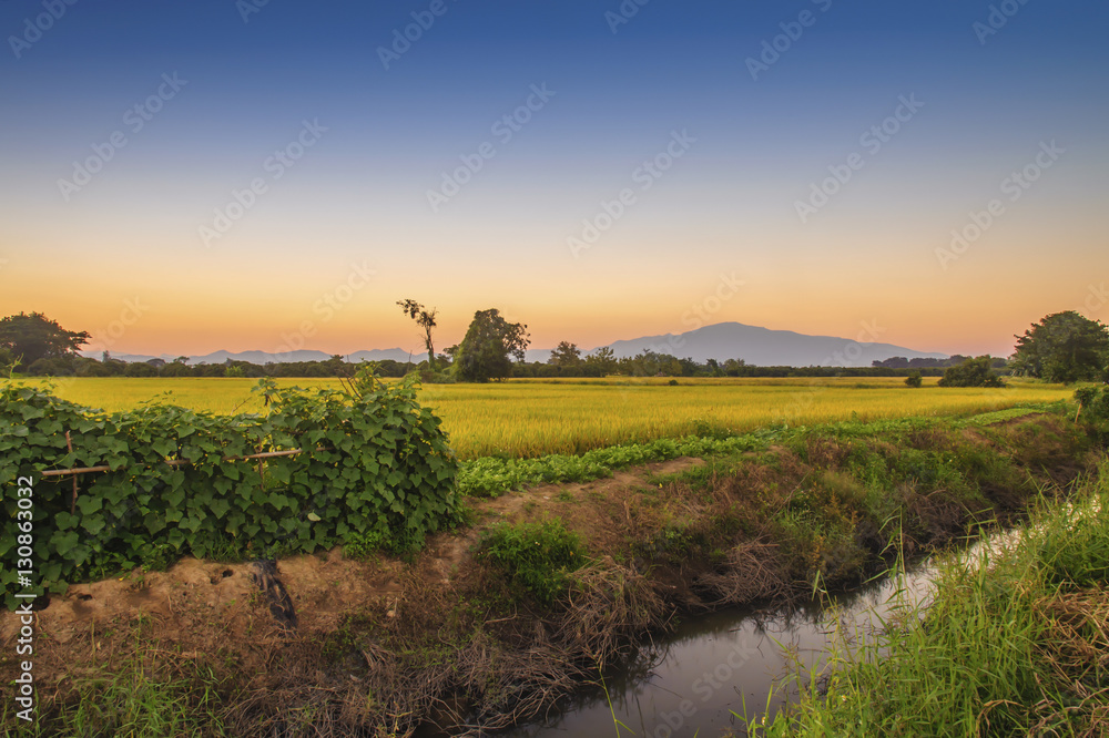 Evening sky Rural above the fields of Thailand Evening sky Rural above the fields of Thailand