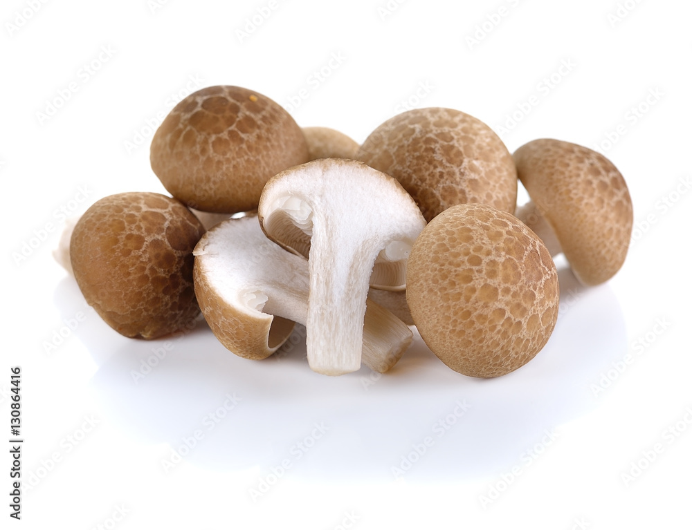 Brown beech mushrooms, Shimeji mushroom, Edible mushroom isolate Brown beech mushrooms, Shimeji mushroom, Edible mushroom isolate
