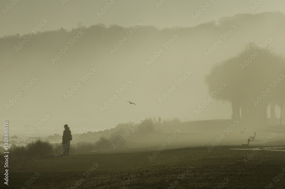 Man standing alone in the fog looking at the landscapes
