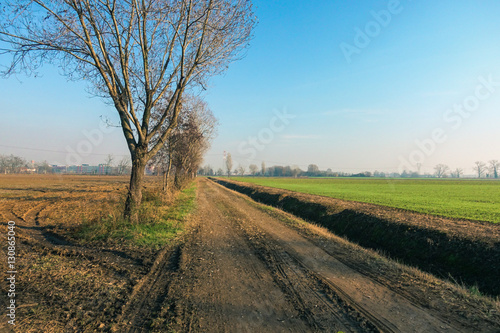 Country road in a sunny day with buildings in the background