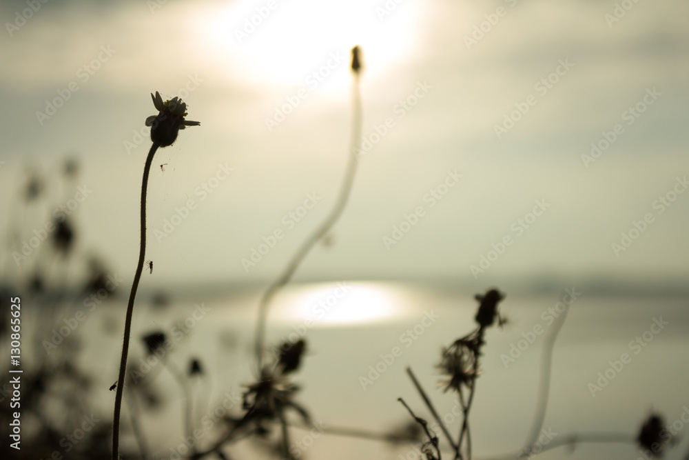 Obraz premium nature,landscape,sky