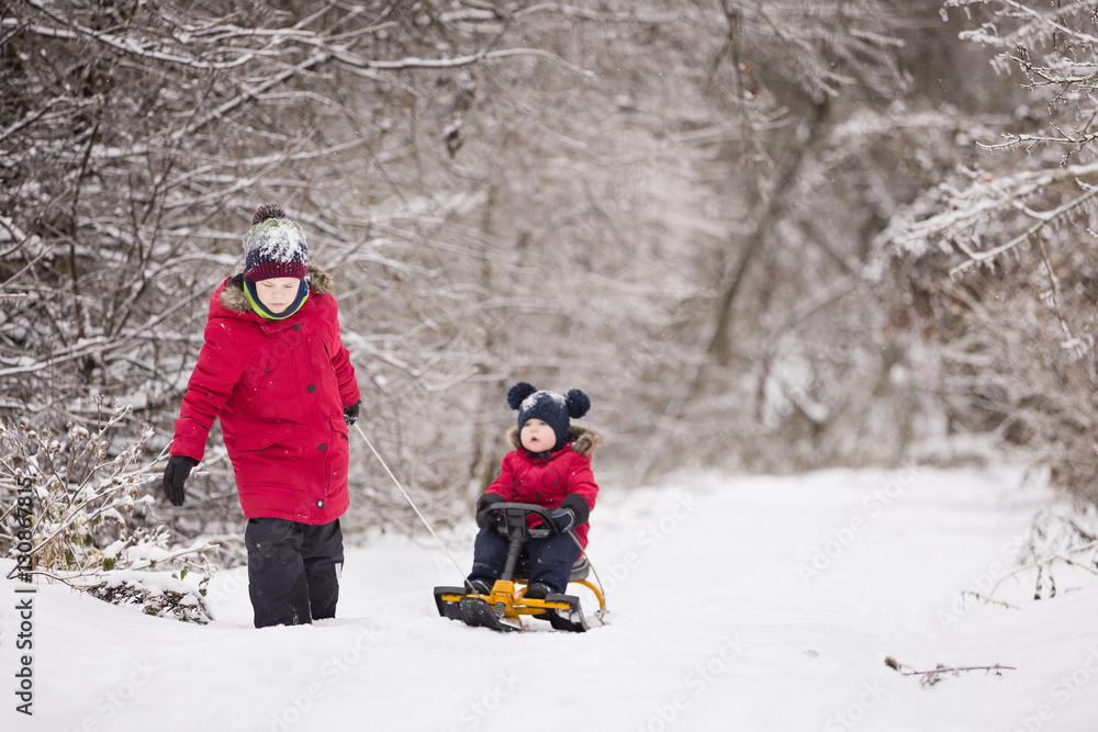 Two siblings walking in a winter park. Children outdoors. Brother pulling sled with a toddler boy sitting on it. Lifestyle and winter concept.