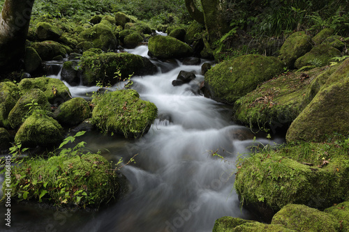 Fototapeta Naklejka Na Ścianę i Meble -  Mountain stream / The mountain stream which flows in a quiet forest