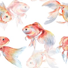 Wandcirkels Goudvis patronen Goudvissen aquarel handgetekend patroon  © shilovka