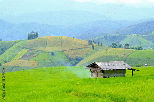 House on green paddy field with high moutain background. Nature landscape at Ban Pa Pong Pieng, Chiang Mai, Thailand