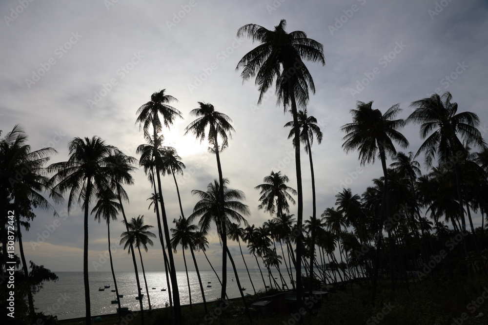 Obraz premium Silhouettes of palm trees on the beach