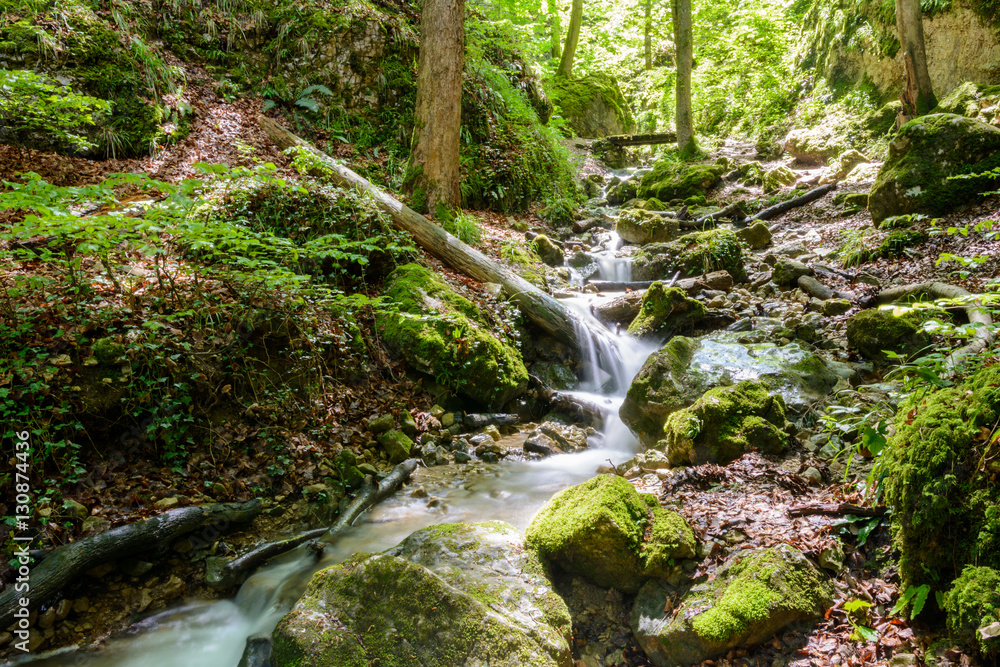 Wasserfall - Wasser - Bach in der Natur im grünen