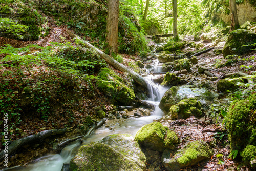 Wasserfall - Wasser - Bach in der Natur im grünen