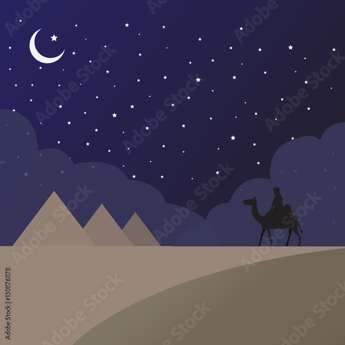the man and his camel traveling in the desert at night, vector illustration