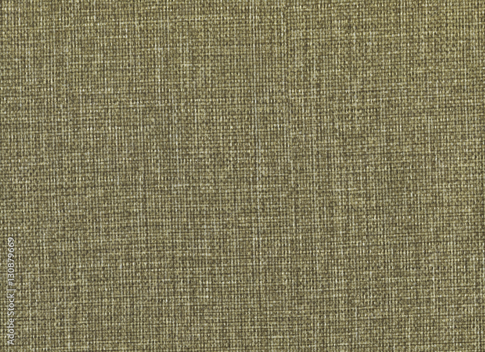 Grass green canvas fabric texture
Grass green canvas fabric texture