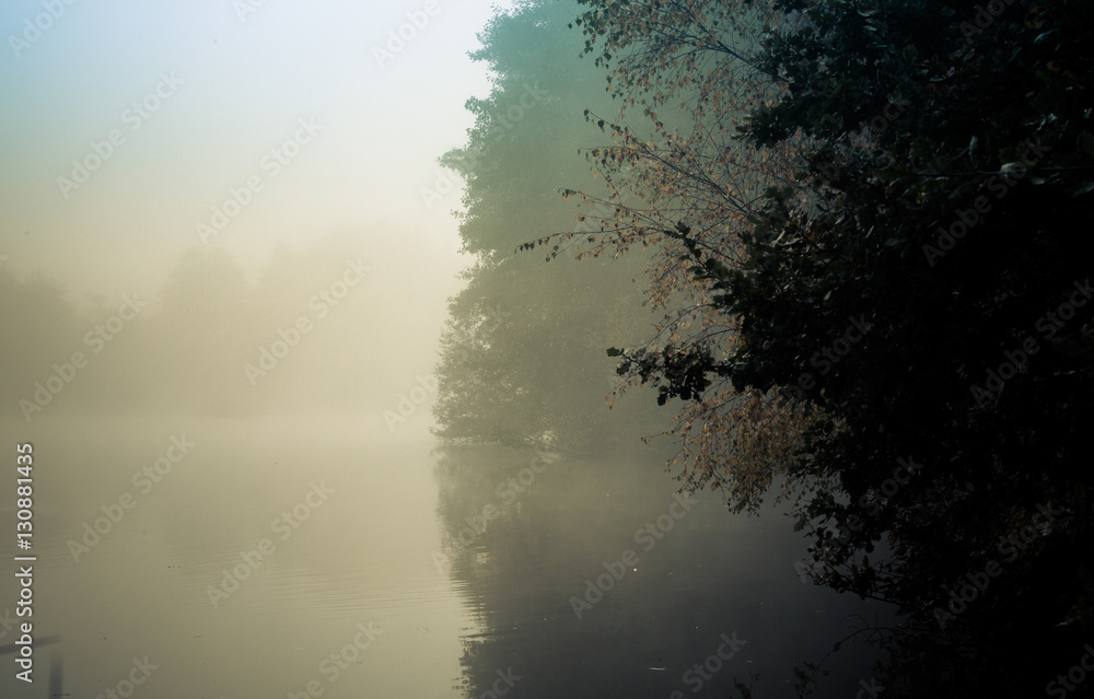 Dawn in Goldsworth Park Woking Surrey England at misty lake in d