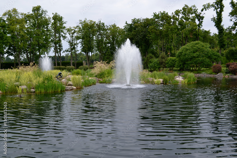 Beautiful summer park with a lake with a fountain