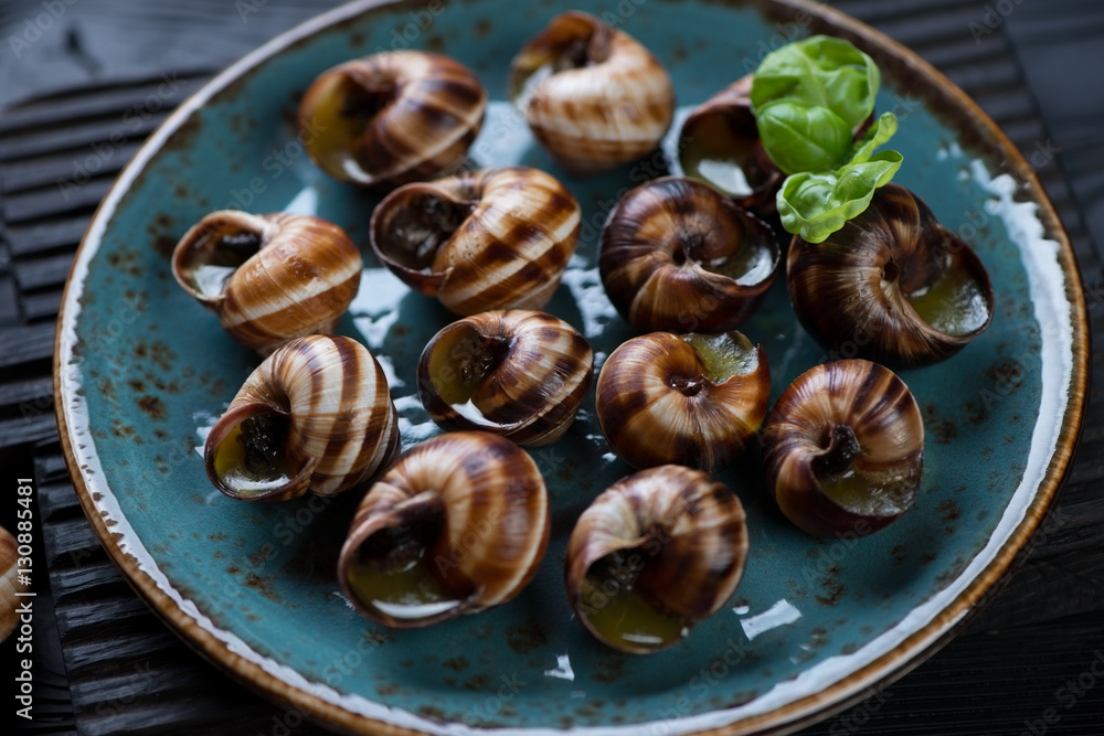 Close-up of bourgogne snails with garlic butter, selective focus Close-up of bourgogne snails with garlic butter, selective focus