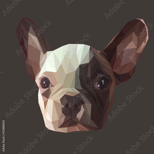 French bulldog animal low poly design. Triangle vector illustration.
