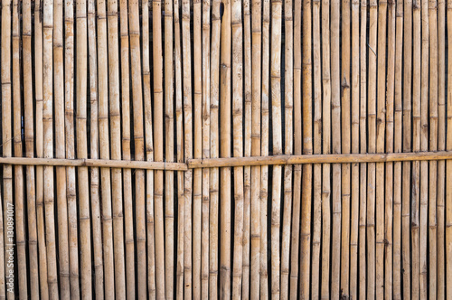 bamboo fence for background