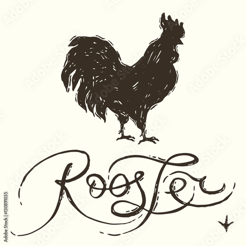 Rooster illustration