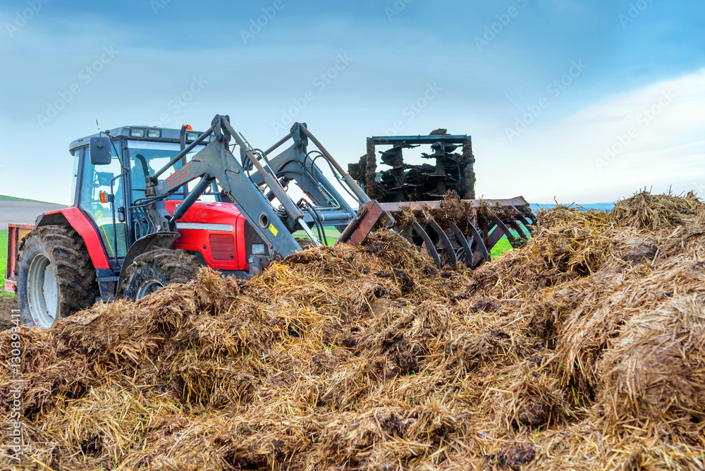 Fototapeta premium épandre le fumier