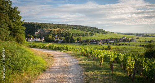 Vignoble en Bourgogne