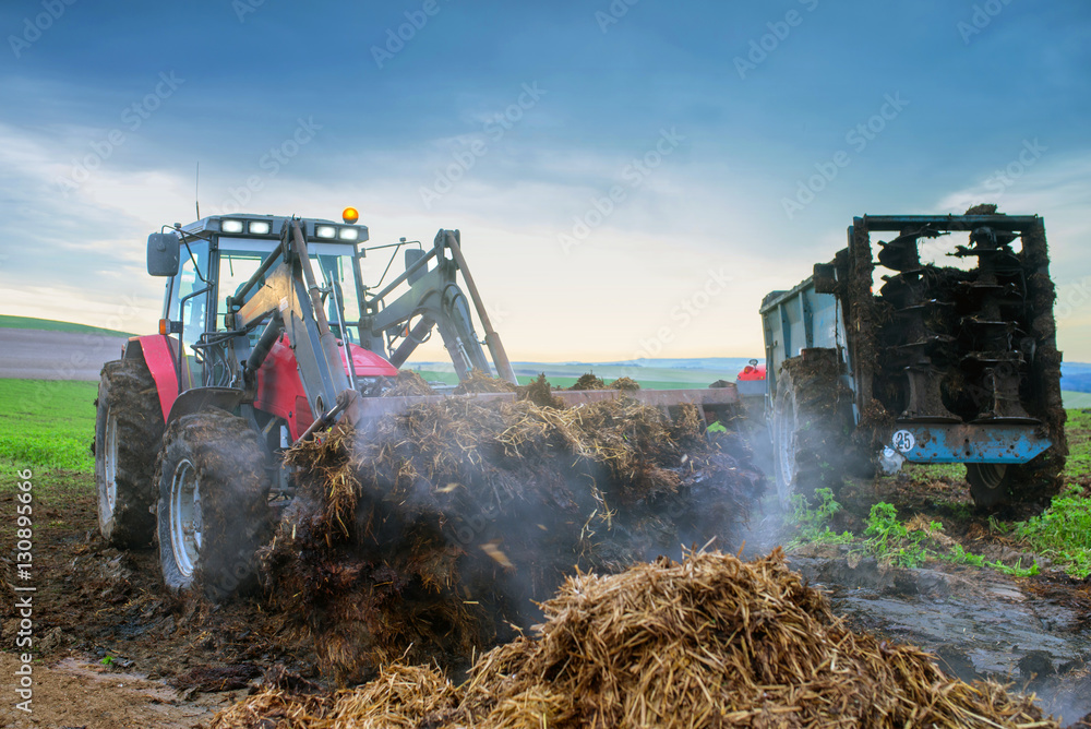 Naklejka premium épandre le fumier
